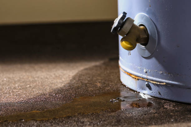 Best Water damage mitigation services  in Kaneohe, HI