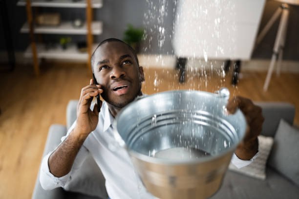 Best Water damage cleanup near me  in Kaneohe, HI