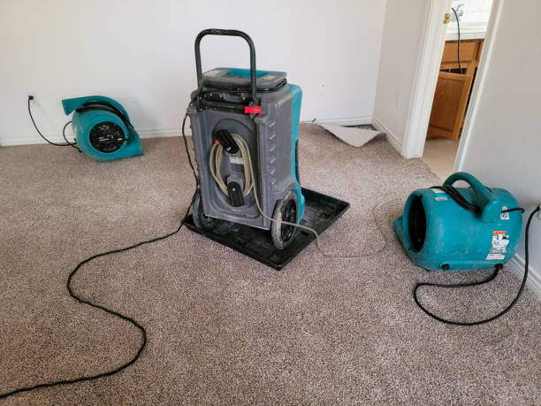 Best Mold removal after water damage  in Kaneohe, HI