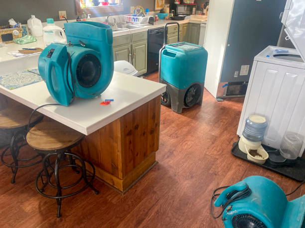 Best 24-hour water damage restoration  in Kaneohe, HI