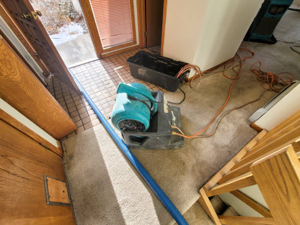 Professional Water damage restoration in Kaneohe, HI