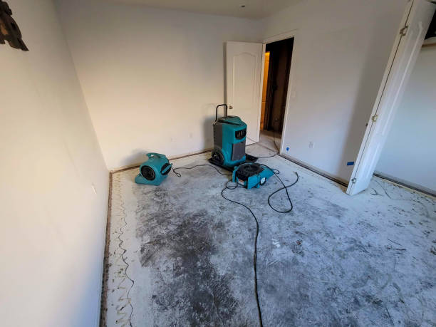Best Water damage cleanup near me  in Kaneohe, HI