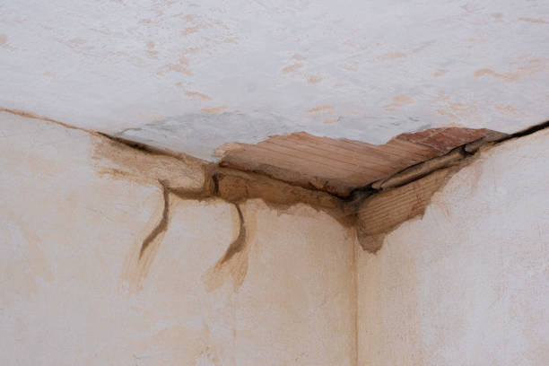 Best Emergency water damage restoration  in Kaneohe, HI