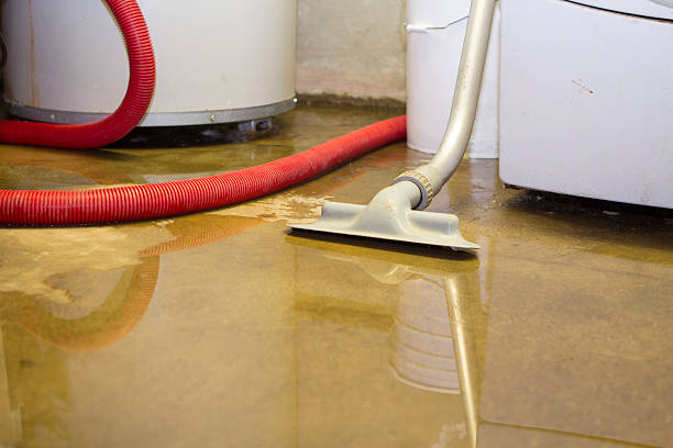 Best Emergency water damage restoration  in Kaneohe, HI