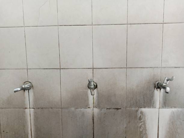 Best Commercial water damage restoration  in Kaneohe, HI
