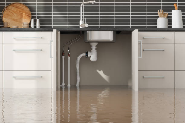 Best Flood restoration services  in Kaneohe, HI