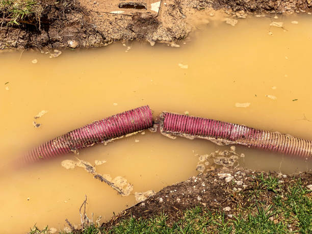 Sewage cleanup and water damage restoration in Kaneohe, HI