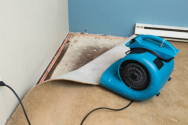 Best Professional water damage repair  in Kaneohe, HI